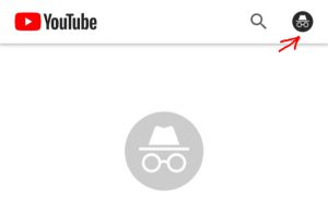 Что такое инкогнито в ютубе. Смотреть фото Что такое инкогнито в ютубе. Смотреть картинку Что такое инкогнито в ютубе. Картинка про Что такое инкогнито в ютубе. Фото Что такое инкогнито в ютубе