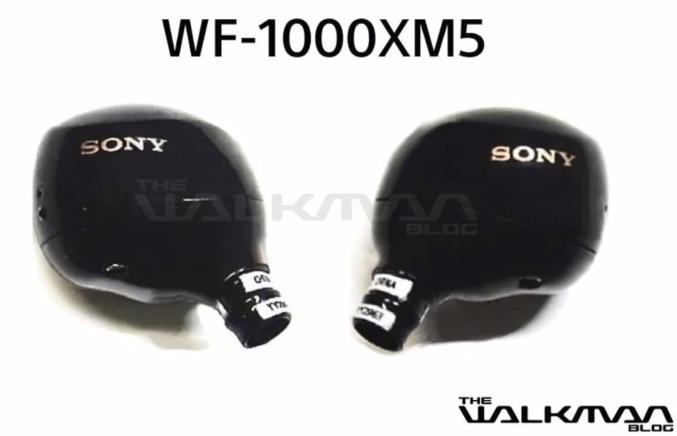 Наушники Sony WF-1000XM5