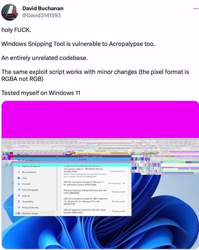Новые баги Windows 10/11