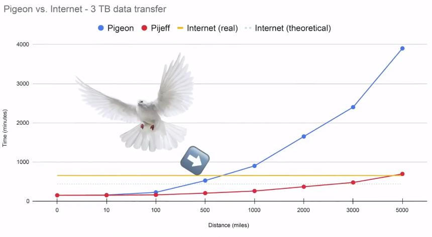 Передаем терабайты информации с помощью голубя