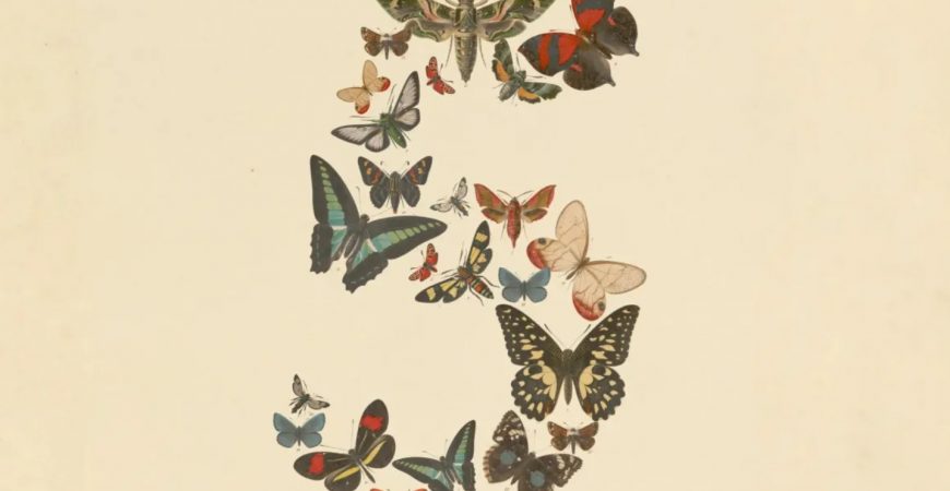 Claude Fable 5